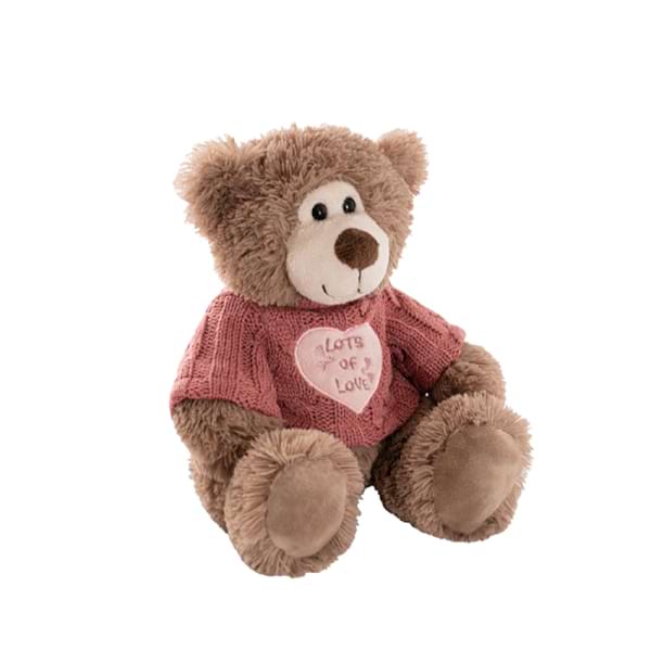 Teddy Bear Lots of Love