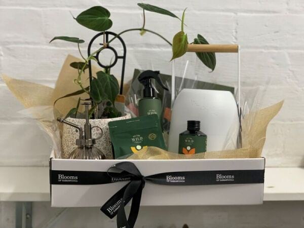 Crazy Plant Lover Hamper