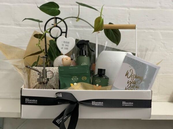 Deluxe Plant Lover Hamper